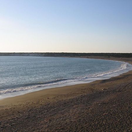 Paphos Love Nest Apartment 客房 照片
